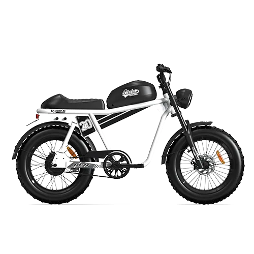 Tiger RL